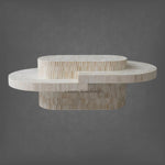 Buy Premium Bone Inlay Center Table