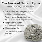 Raw Pyrite Stone Geode 7