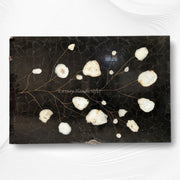 Black Obsidian with Brazilian Agate 3