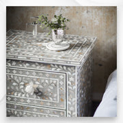 Mother Of Pearl Inlay Floral 2 Drawer Bedside Light Grey