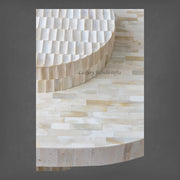 Stylish Bone Inlay Center Table