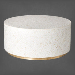 Floral White Bone Inlay Center Table With Brass