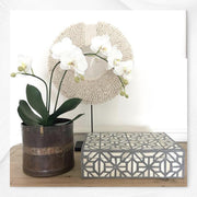 Hope Bone Inlay Box Grey