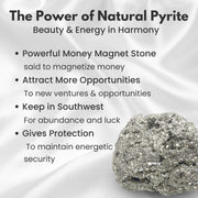 Raw Pyrite Stone Geode 7