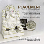 Raw Pyrite Stone Geode 9