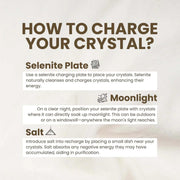 Raw Pyrite Stone Geode 3